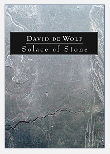 Solace of Stone cover
